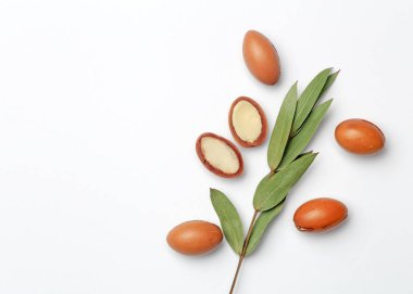 Argan tohumları beyaz bir arkaplanda izole edilmiş. Bitkili Argan yağı fındığı. Kozmetik ürünleri ve doğal yağlar