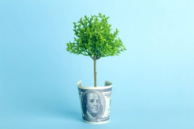 Mavi arka planda para ağacı. Amerikan dolarından büyüyen ağaç. Ekonomi ve para kavramı