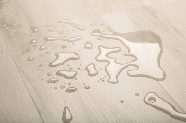 Oturma odasındaki parke zeminde su ve nem var. Ahşap zemin ve kaplamalar için nem koruması