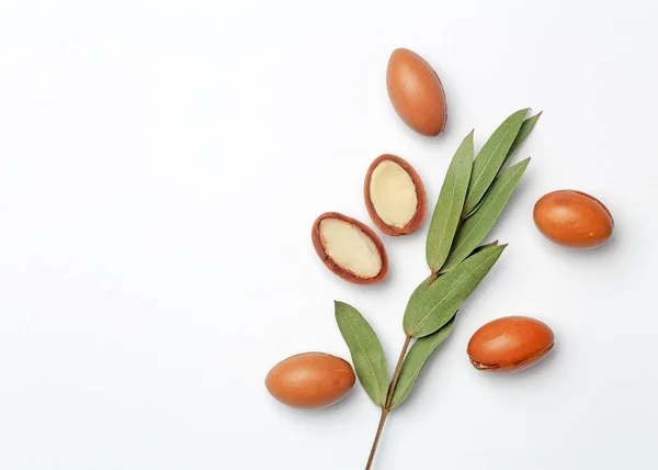 Semi di Argan isolati su fondo bianco. Olio di Argan noci con pianta. Cosmetici e oli naturali sfondo — Foto Stock