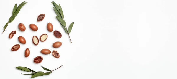 Argan tohumları beyaz bir arkaplanda izole edilmiş. Bitkili Argan yağı fındığı. Kozmetik ürünleri ve doğal yağlar