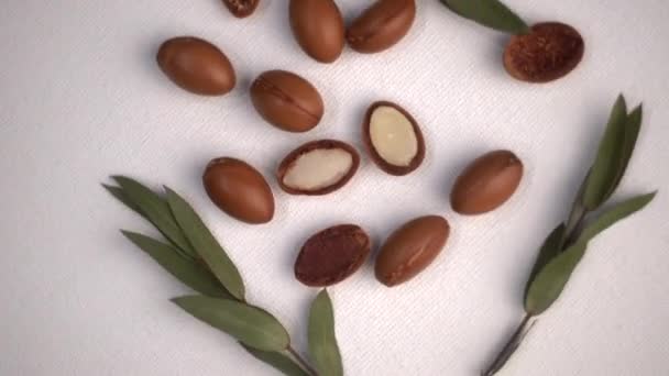 Argan seeds on a white background. Argan oil based cosmetics concept — Stock Video