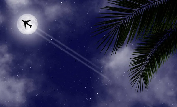 Tropical night banner background. Tropical palm leaves and and a flying plane on the blue night sky on the island.