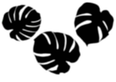 Fotoğraf için gölge örtüsü efekti. Palmiye yapraklarının bulanık gölgeleri ve güneş ışığında beyaz bir duvarda tropikal dallar.. 