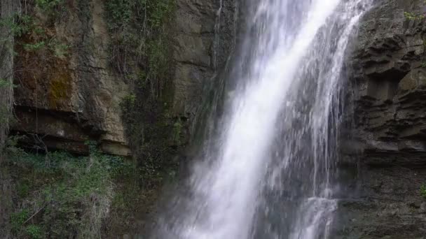 Waterval in het bos. Een voorjaar waterval in een berg woud stroomt van een hoogtepunt. — Stockvideo