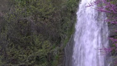 Ormandaki şelale. Bir dağ ormanında bir bahar şelalesi yüksekten akar..