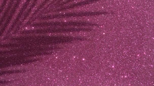 ピンクの輝き輝く背景にヤシの木からの影。ミニマルアート,グラマー,休暇,夏,パーティーコンセプト. — ストック動画