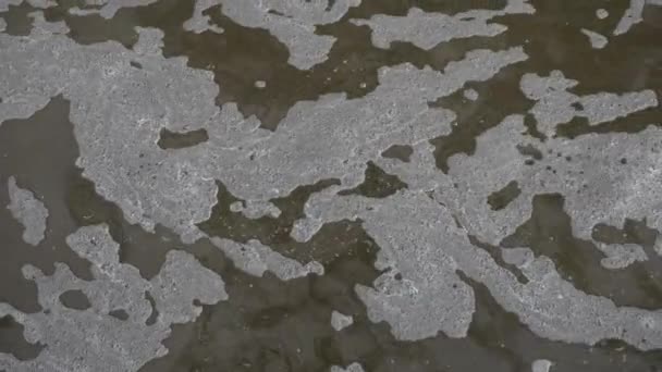 Vuil water in de rivier met schuim. Het modderige en vieze water in de afvalrivier stroomt langzaam met schuim op het oppervlak. — Stockvideo