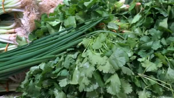 Varios verdes se cierran en el mercado de verduras. Perejil, cebolla verde, cilantro, eneldo, albahaca en el mostrador del mercado de verduras — Vídeos de Stock