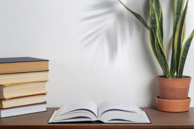 Kitap geçmişi. Üniversite ya da ev masası ve okul kütüphanesindeki masada açık bir kitap. Okuma, edebiyat, öğrenim ve bilgi kavramı.