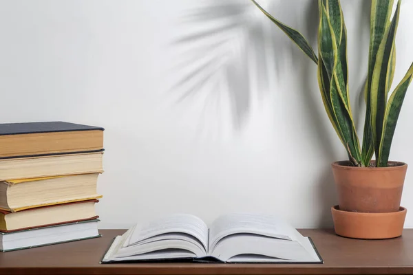 Antecedentes. Livro aberto em uma mesa em uma universidade ou mesa de casa e biblioteca da escola. Leitura, literatura, estudo e conceito de conhecimento. — Fotografia de Stock