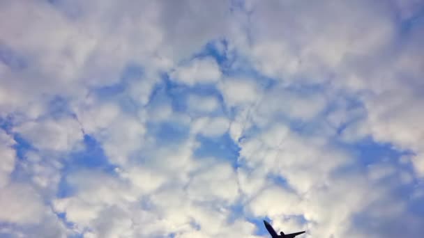 Vliegtuig vlucht in de lucht bij bewolkt weer. Het vliegtuig landt tegen een achtergrond van witte en grijze wolken. Reis-, reis- en vakantieconcept — Stockvideo