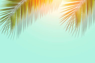 Avuç içi yaprakları. Boş renkli arka planda tropik palmiye yaprakları. Yaz, tropik bölgeler, güneş, tatil konsepti