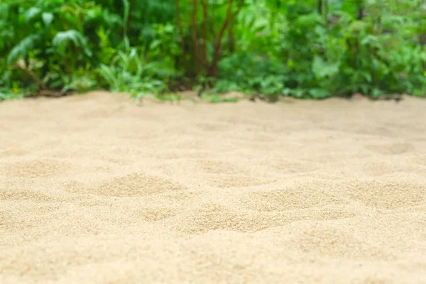 Sabbia sullo sfondo spiaggia con piante tropicali in estate sotto il sole. Estate, tropici, sole, concetto di calore. — Foto Stock