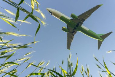 Mavi yaz gökyüzünde uçak uçuşu. Seyahat eden turistlerle dolu bir yolcu uçağının kalkışı ya da inişi. Hava taşımacılığı ve seyahat endüstrisi