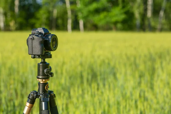Una cámara con una lente en un trípode, lista para tomar fotos o videos en la naturaleza. Fotografía y filmación de paisajes, vida silvestre. —  Fotos de Stock