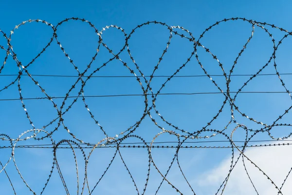 Barbed wire against the blue sky. Coils of steel barbed wire on the fence of the forbidden territory — Stock Photo, Image