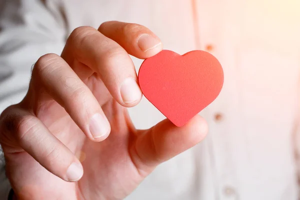 Coração na mão. Doar, amor, saúde e conceito de medicina. — Fotografia de Stock