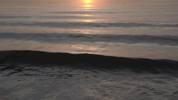Solnedgång på sjön. Vågor på vattnet och en lugn varm solnedgång på en sommarsjö utanför staden i klart väder. Slappna av lugn natur video — Stockvideo