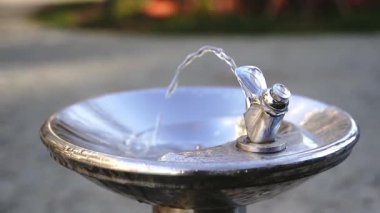 Park 'ta akan taze su akıntısı olan çeşme. Yüksek kaliteli FullHD görüntüler