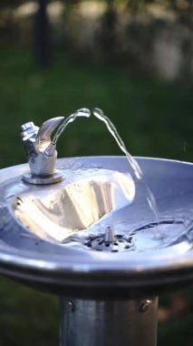 Park 'ta akan taze su akıntısı olan çeşme. Yüksek kaliteli FullHD görüntüler