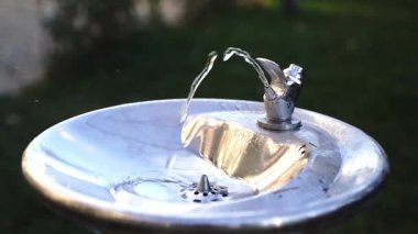 Park 'ta akan taze su akıntısı olan çeşme. Yüksek kaliteli FullHD görüntüler