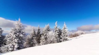 Yüksek çayırlı kış manzarası ve dağlarda kar