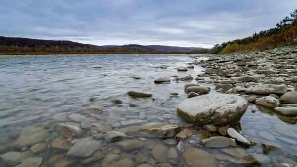 Река Дикая Гора закроет обильный чистый ручей. Детальный статический снимок ручья Бабблинг с каменными камнями. Скала Rapid в быстрой брызг воды. Ukraine, Carpathian — стоковое видео