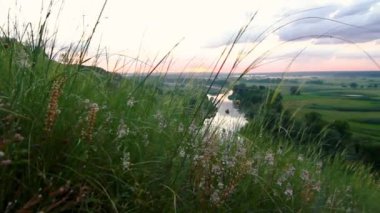 Güneşli bir gün batımı ya da kırsal alanda gün doğumu. Yeşil çayırlar üzerinde uçan küçük böcek bulutları. Çimenler, çiçekler ve yumuşak, ılık güneş ışığı..