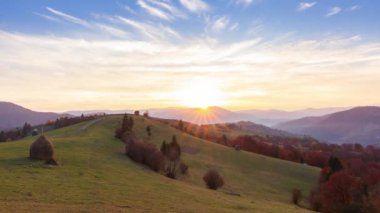 Sarı ağaçlar ve şelaleli renkli sonbahar manzarası. Sonbahar mevsiminde renkli sonbahar ormanlarında güzel doğa. Karpat Dağları, Ukrayna