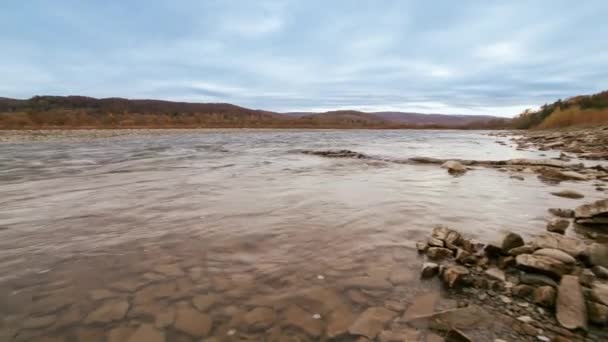 Ο ποταμός Γουάιλντ Μάουντεν από κοντά. Λεπτομέρεια Στατική λήψη του Babbling Creek με πέτρες που κυλούν. Rock Rapid σε Swift νερό πιτσιλίσματος. Ουκρανία, Καρπάθια — Αρχείο Βίντεο