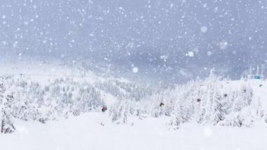 Kış manzaralı, sandalyeden kaldırmalı, köknar ağacının karla kaplı olduğu bir manzara. Noel mevsimleri dijital ortamda oluşturulan imajı kutluyor