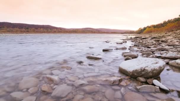 Ο ποταμός Γουάιλντ Μάουντεν από κοντά. Λεπτομέρεια Στατική λήψη του Babbling Creek με πέτρες που κυλούν. Rock Rapid σε Swift νερό πιτσιλίσματος. Ουκρανία, Καρπάθια — Αρχείο Βίντεο