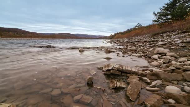 Розташована дика гірська річка оточена чистою вулицею. Detail Static Shot of Babbling Creek with Stone Boulders Flowing (англійською). Рок-пік у джазовій воді. Україна, Карпат — стокове відео