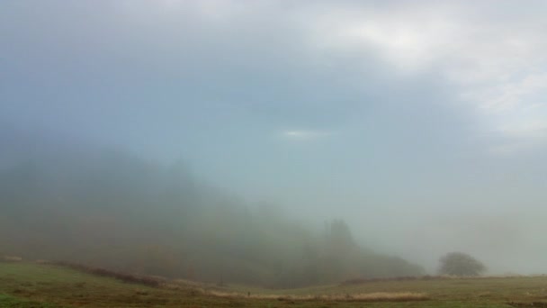 Mattina nebbia sulla valle tra le montagne alla luce del sole. Nebbia e Bellissima natura dei Carpazi. Ucraina — Video Stock