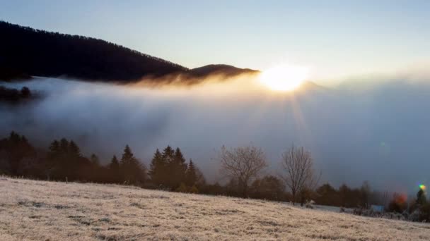 Солнце встает из-за вершины горы, туман движется и встает на рассвете в летнее утро в горах. Утренний туман рассеивается в горах Карпат. Природный ландшафт, природные пейзажи, сельские пейзажи — стоковое видео
