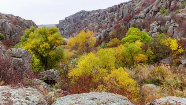 Alberi autunnali e grandi massi di pietra intorno. Aktovsky Canyon, Ucraina. — Video Stock