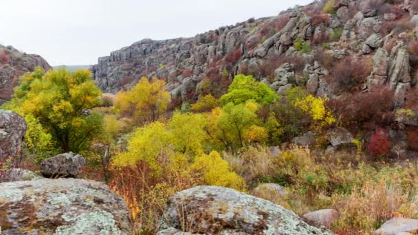 Árvores de outono e grandes pedras de pedra ao redor. Aktovsky Canyon, Ucrânia. — Vídeo de Stock