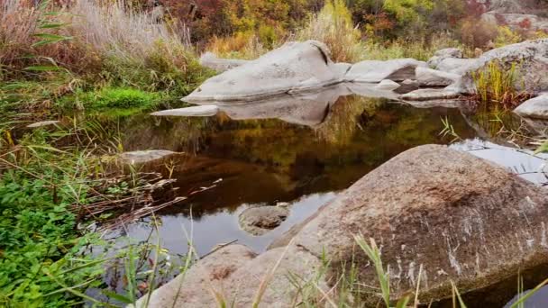 Alberi autunnali e grandi massi di pietra intorno. Una cascata d'acqua in autunno torrente con foglie cadute. L'acqua scorre intorno alle pietre nel fiume. Aktovsky Canyon, Ucraina. — Video Stock