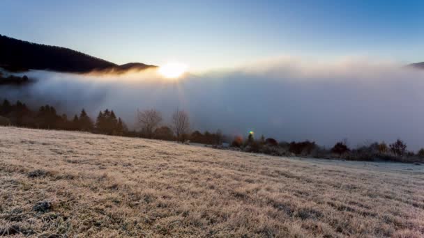 El sol sale de detrás de la cima de la montaña, la niebla se mueve y se levanta al amanecer en la mañana de verano en las montañas. La niebla matutina se disipa en las montañas Cárpatos. Paisaje natural, paisaje natural, entorno rural — Vídeo de stock