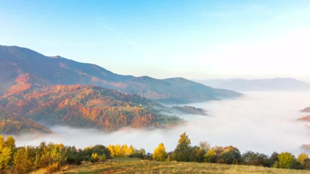 太陽の下で山の間の谷の上に朝の霧。霧とカルパチア山脈の映像の美しい自然。ウクライナ — ストック動画