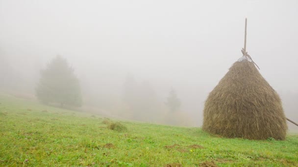 Otoño mañana brumosa, campo agrícola prado lejano con grandes fardos de heno. — Vídeo de stock