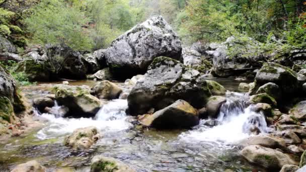 Pequeñas cascadas en un bosque tranquilo — Vídeos de Stock