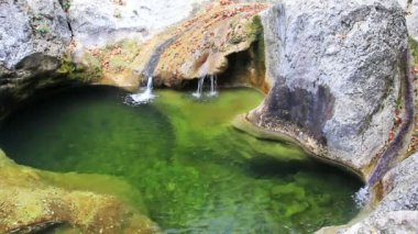 Huzurlu bir ormanda küçük şelaleler