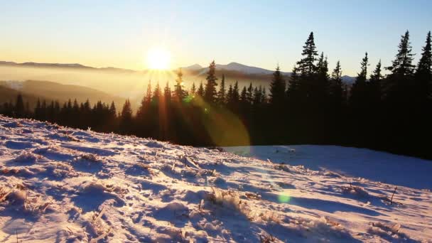 Goldene Sonne berührt Berg bei Sonnenuntergang. Winter in den Bergen. Ukraine Karpaten Dragobrat — Stockvideo