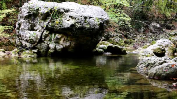 Kleine watervallen in een vredig bos — Stockvideo