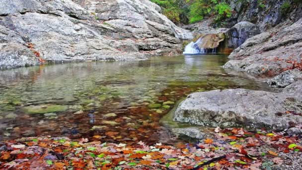 Små vattenfall i en fridfull skog — Stockvideo
