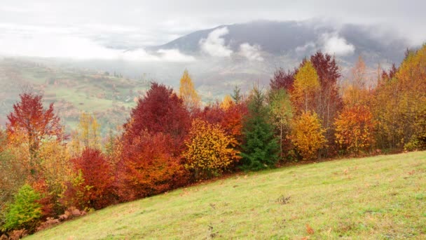 Clip de lapso de tiempo. Fantástico paisaje de montaña colorido con nube. Ucrania, Montañas Cárpatos — Vídeos de Stock