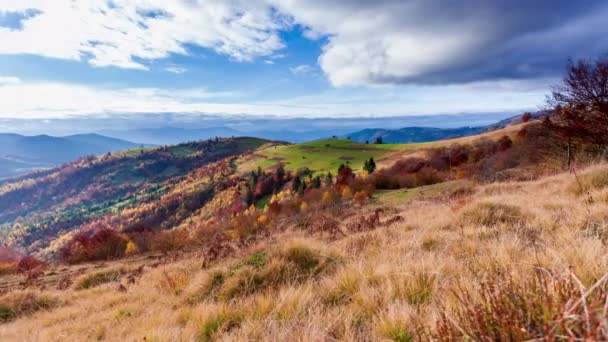 Tidsforskydning. Fantastisk farverigt bjerglandskab med sky. Ukraine, Karpaterne – Stock-video
