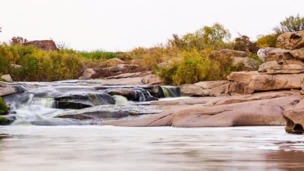 Река Уайлд-Маунтин течет с каменными камнями и каменными порогами. Быстрое плескание воды в ручье. Горный поток осенью. Обильный Чистый поток. Каньон Токива. Украина. — стоковое видео
